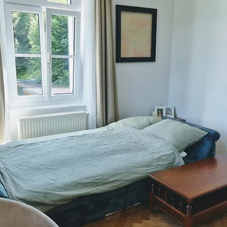 Ohrenstein - Komfort Apartmán Bad Ischl